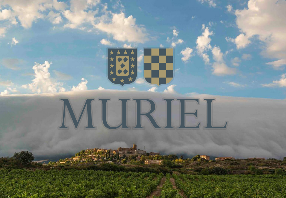 Muriel : 뮤리엘